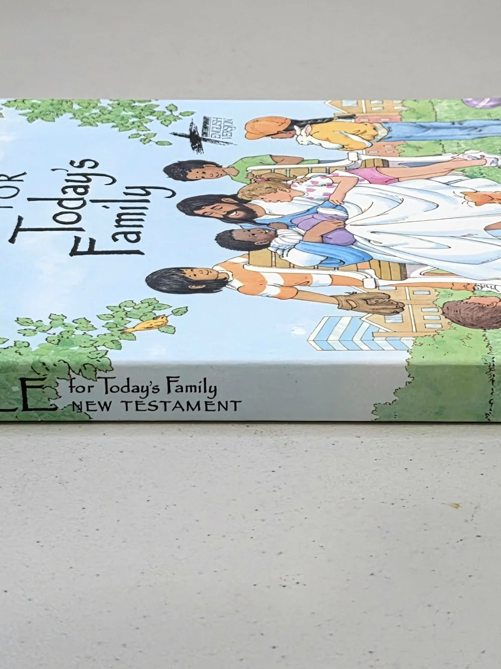 Bible For Today's Family New Testament Vtg 1991 Contemporary English Version